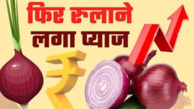 16 June 2025 Pyaj Mandi Bhav