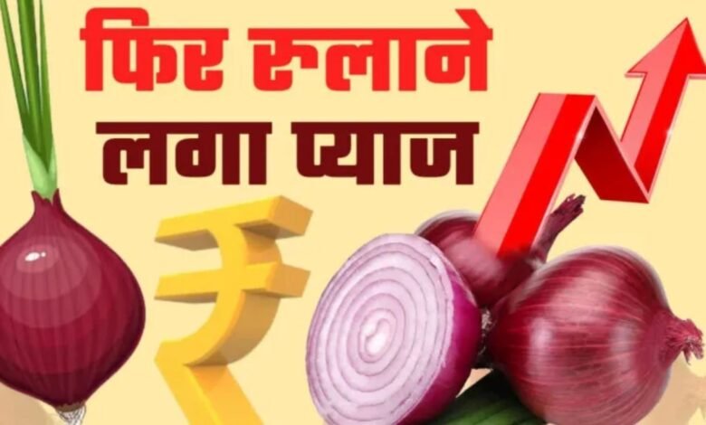 16 June 2025 Pyaj Mandi Bhav