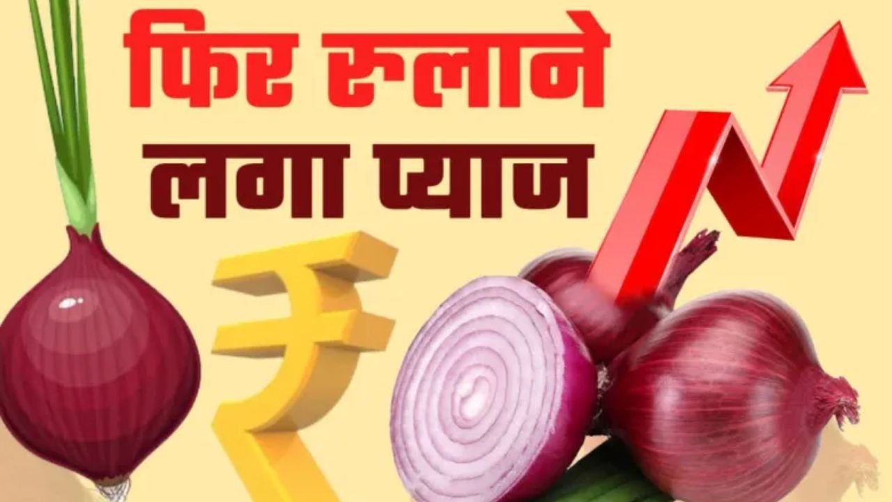 16 June 2025 Pyaj Mandi Bhav