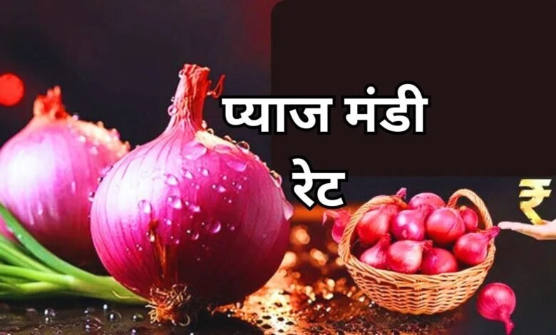 20 June 2025 Pyaj Mandi Bhav