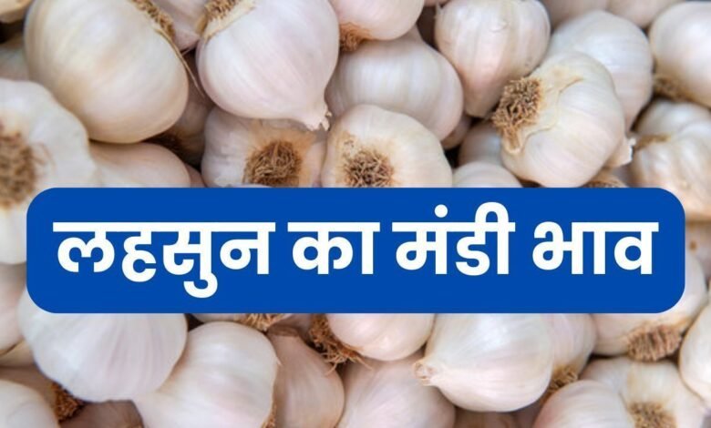 21 June 2025 Lahsun Mandi Bhav