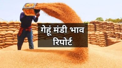 22 June 2025 Gehun Mandi Bhav