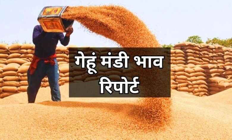 22 June 2025 Gehun Mandi Bhav