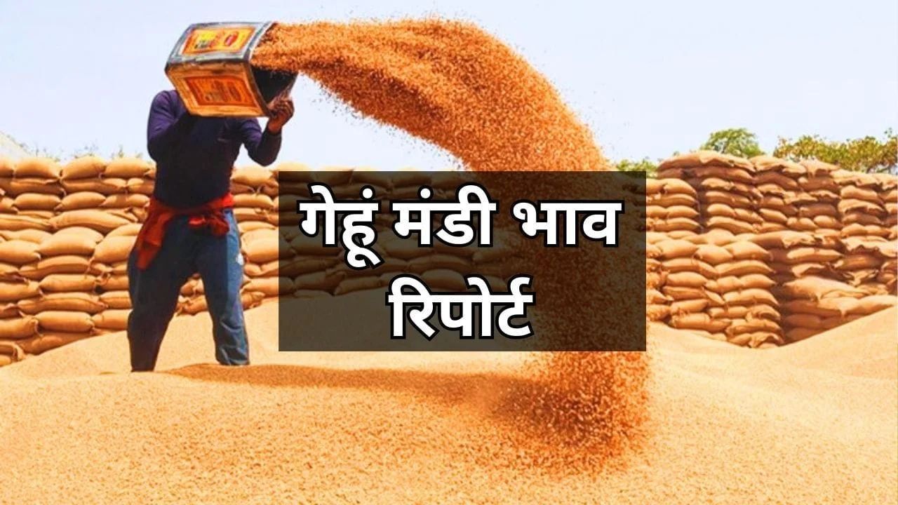 22 June 2025 Gehun Mandi Bhav