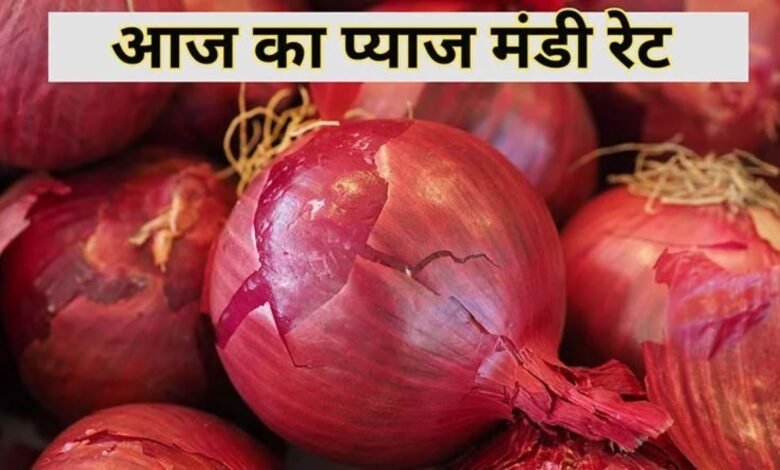Pyaj Mandi Bhav
