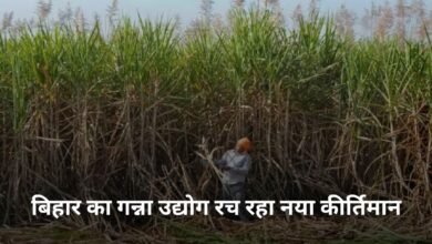 Bihar news