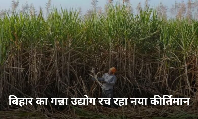 Bihar news