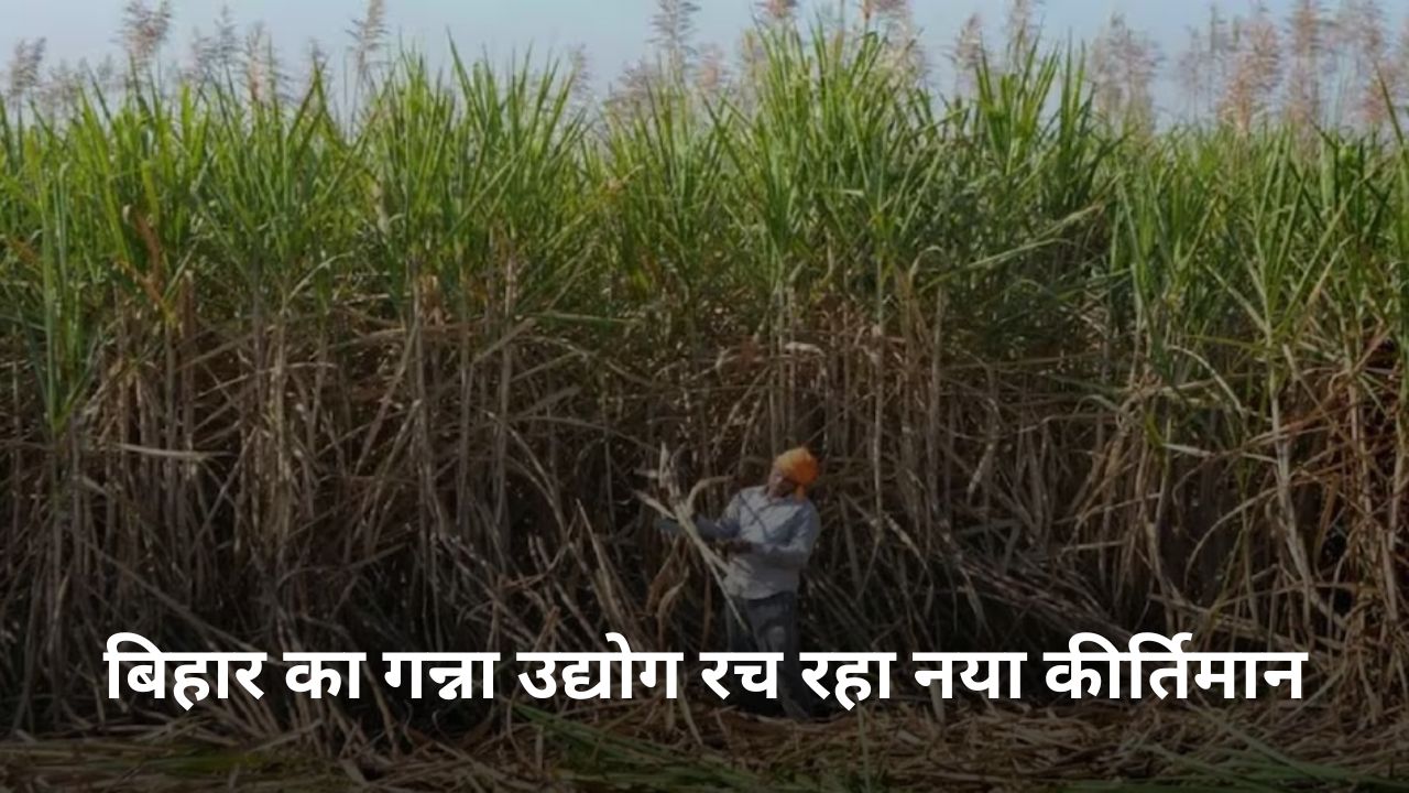 Bihar News :बिहार का गन्ना उद्योग रच रहा नया कीर्तिमान, इथेनॉल उत्पादन से ग्रामीण अर्थव्यवस्था को नई दिशा Bihar news
