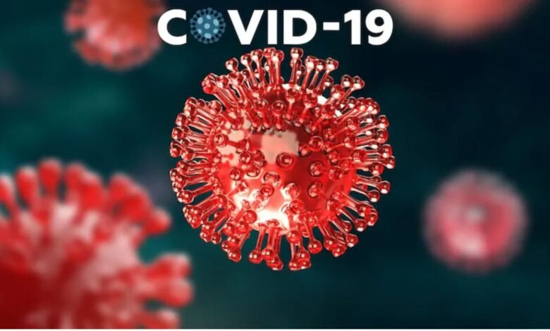 Covid-19 Cases in India