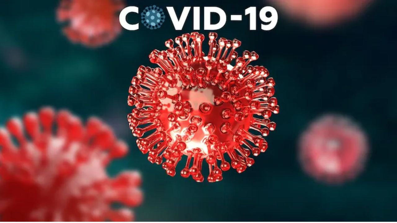 Covid-19 Cases in India