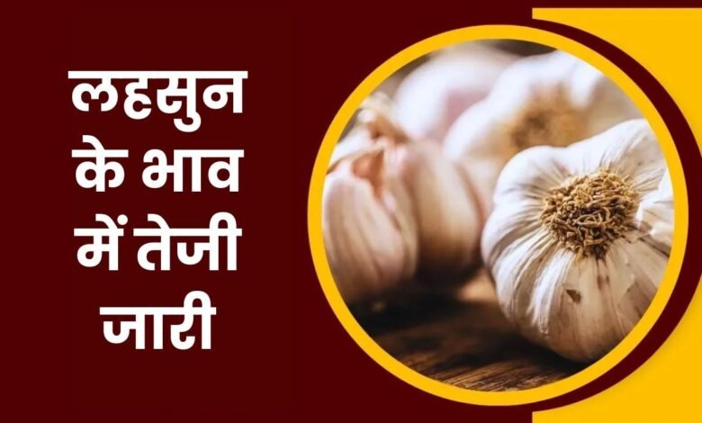 Lahsun Mandi Bhav