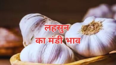 Lahsun Mandi Bhav