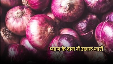 Pyaj Mandi Bhav