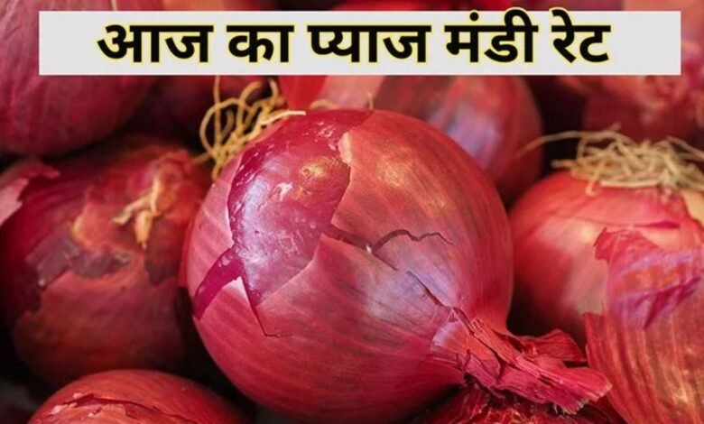 Pyaj Mandi Bhav
