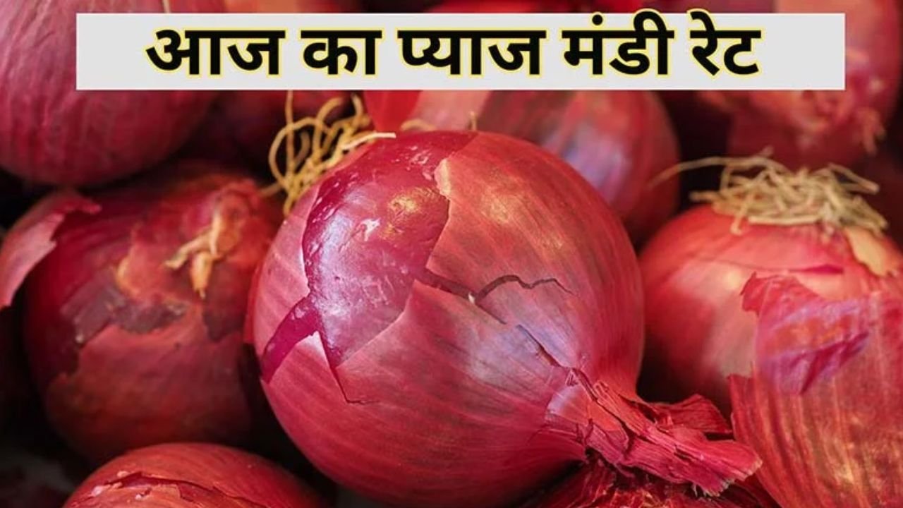 Pyaj Mandi Bhav