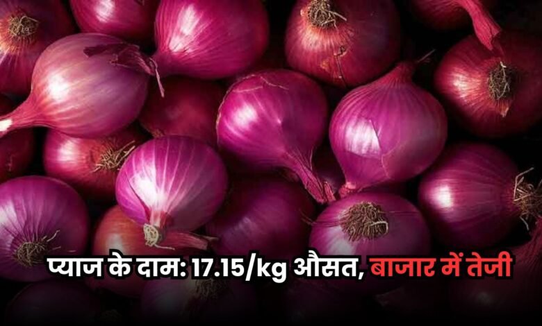 Pyaj Mandi Bhav