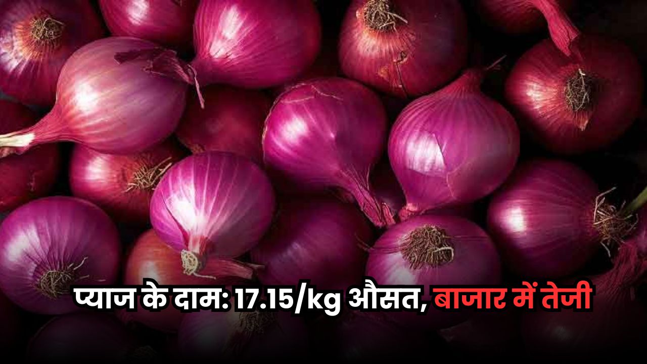 Pyaj Mandi Bhav: प्याज़ के रेट में तेजी जारी, जानें 26 जून 2025 के ताज़ा भाव Pyaj Mandi Bhav
