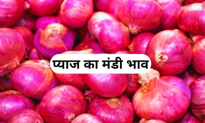 Pyaj Mandi Bhav