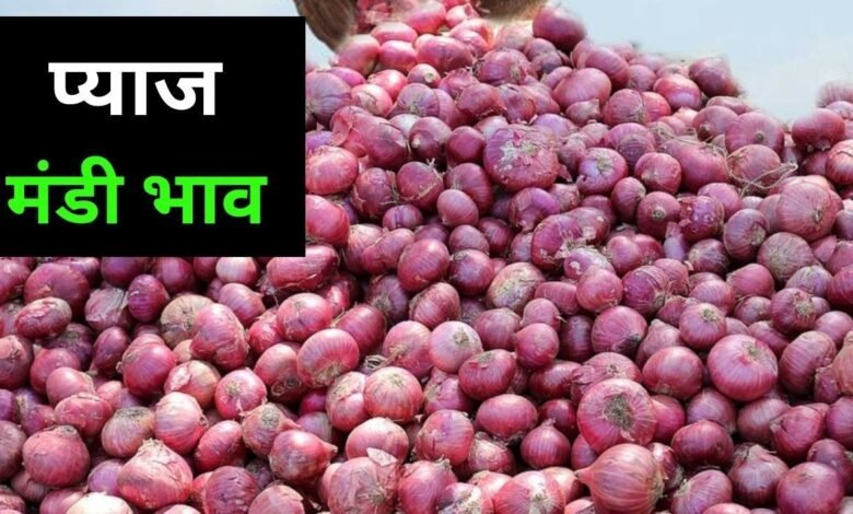 Pyaj Mandi Bhav