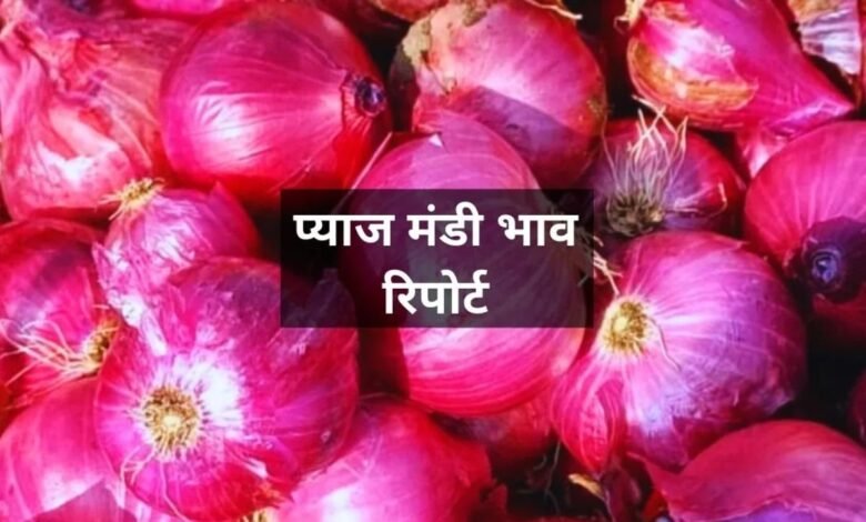 Pyaj Mandi Bhav