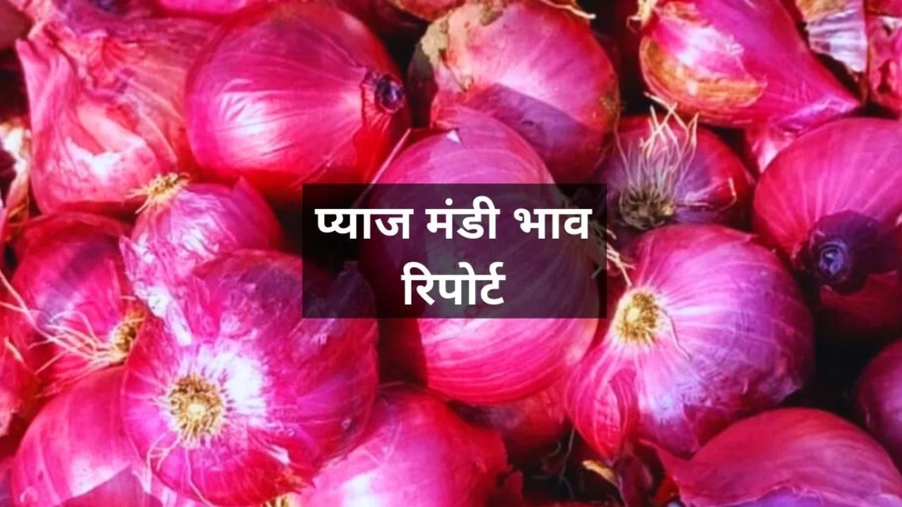 Pyaj Mandi Bhav: आवक घटने से प्याज़ के दाम में उछाल जारी, जानें 21 जून 2025 के ताज़ा मंडी अपडेट Pyaj Mandi Bhav