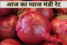 Pyaj Mandi Bhav