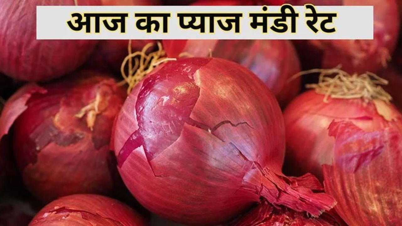 Pyaj Mandi Bhav: मंडी में आवक की कमी ने बढ़ाये प्याज़ के दाम, जानें 22 जून 2025 के ताज़ा मंडी भाव Pyaj Mandi Bhav
