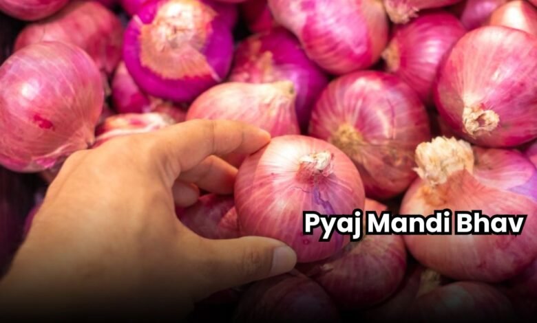 Pyaj Mandi Bhav