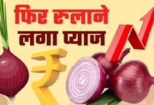 Pyaj Mandi Bhav