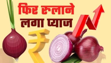 Pyaj Mandi Bhav