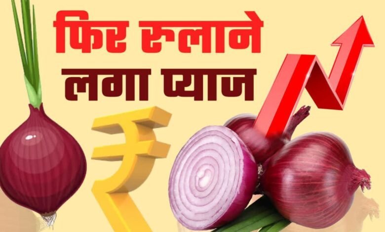 Pyaj Mandi Bhav