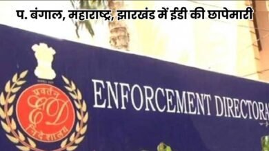 GST Fraud News