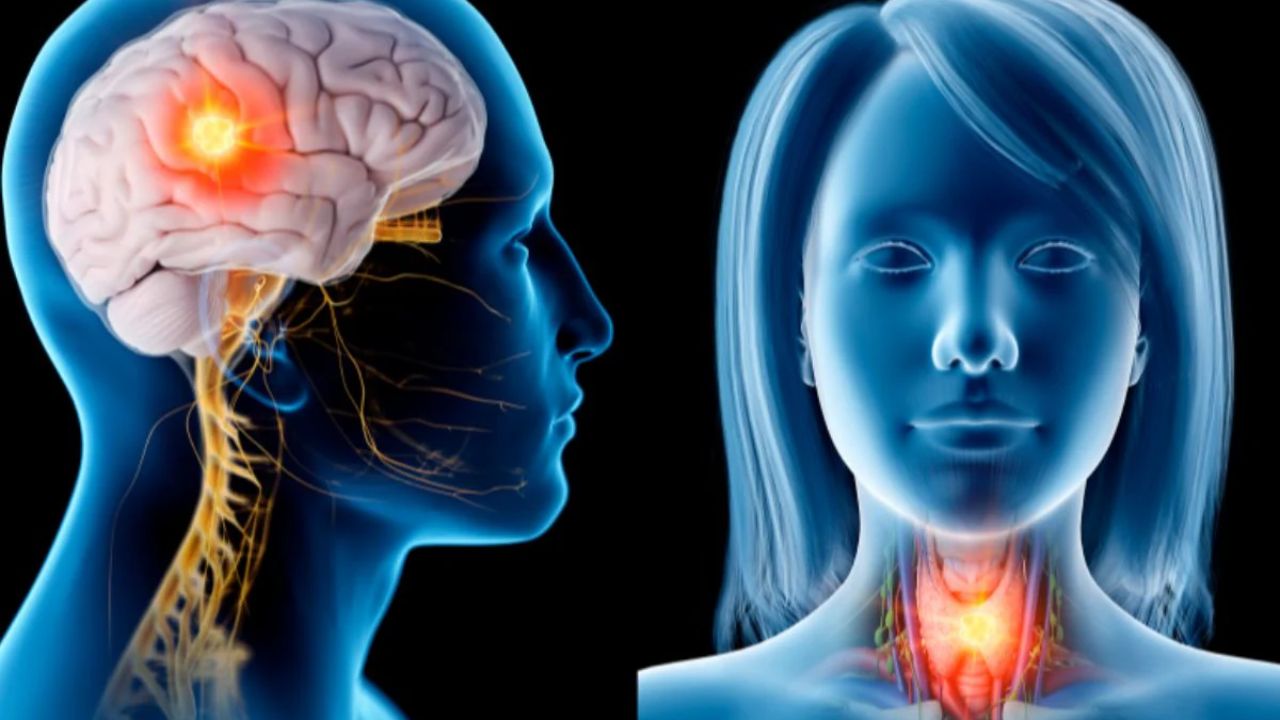 Health News: सिर और गले का कैंसर, युवाओं में बढ़ती बीमारी, लक्षण और बचाव के आसान उपाय Health News