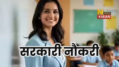 Government Job