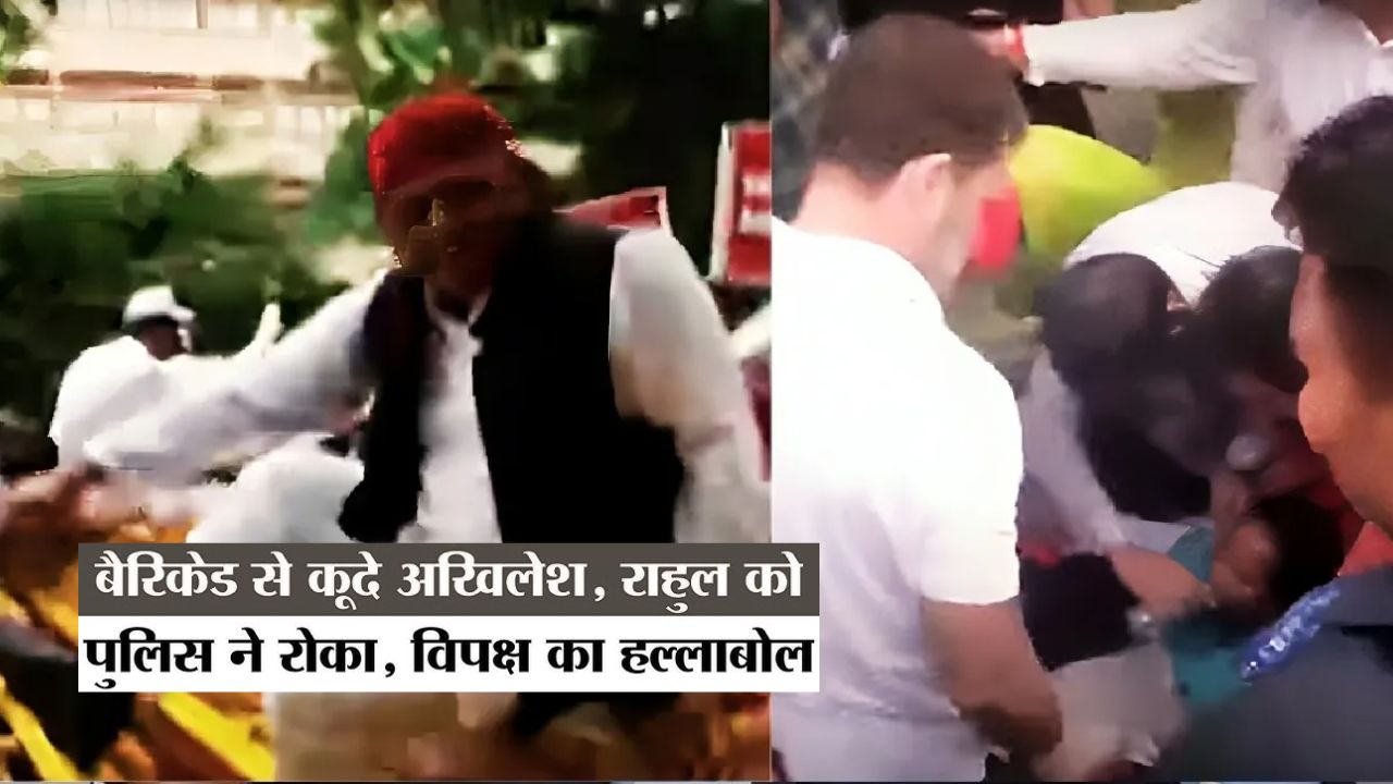 New Delhi news: दिल्ली की सड़कों पर बड़ा ड्रामा, राहुल गांधी को पुलिस ने पकड़ा, अखिलेश यादव ने बैरिकेड कूदकर किया विरोध प्रदर्शन New Delhi news