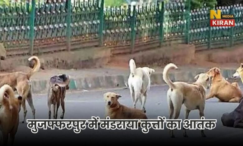 Bihar News