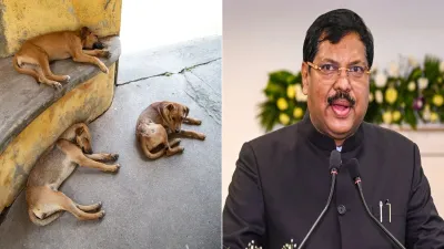 दिल्ली-NCR में आवारा कुत्तों पर सुप्रीम कोर्ट के आदेश से मचा विवाद, कार्यकर्ता फिर पहुंचे CJI के पास
