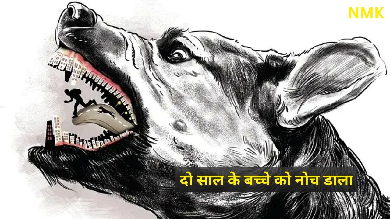 आवारा कुत्ते ने घर में घुसकर पालने में सो रहे दो साल के बच्चे को नोच डाला आवारा कुत्ते ने घर में घुसकर पालने में सो रहे दो साल के बच्चे को नोच डाला