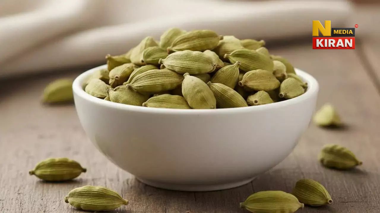 Health Tips: रोज सुबह खाली पेट चबाएं सिर्फ 2 हरी इलायची, पेट से लेकर ब्लड प्रेशर तक की 5 बड़ी समस्याओं से मिलेगी राहत Health Tips