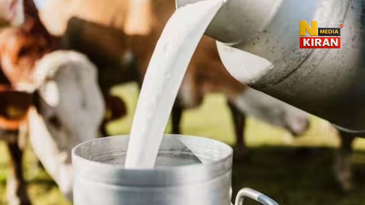 Jharkhand News: झारखंड के 60,000 दूध उत्पादकों को हेमंत सरकार ने दिया बड़ा तोहफा, हर लीटर पर मिलेंगे 3 रुपये अतिरिक्त Jharkhand News
