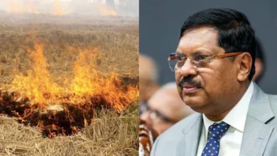 पराली जलाने पर सुप्रीम कोर्ट की सख्ती: कुछ किसानों को जेल भेजने की बात कही