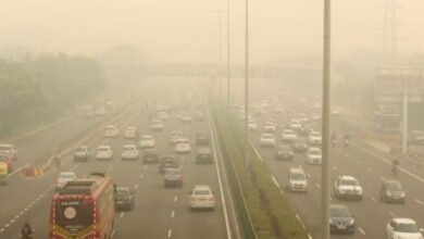 दिल्ली-एनसीआर में दिवाली से पहले प्रदूषण का कहर: AQI 490 तक पहुंचा