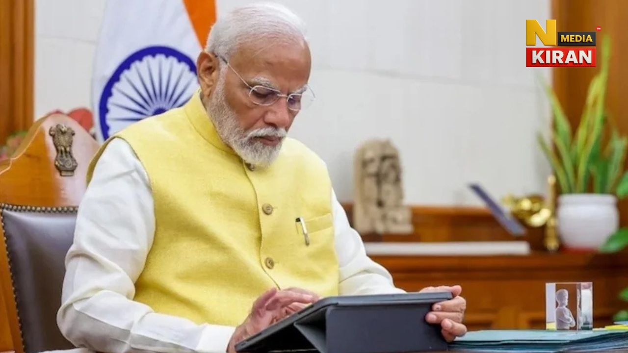 PhD Degree Reform