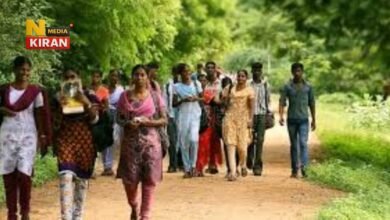 Rajasthan Government Job 2025