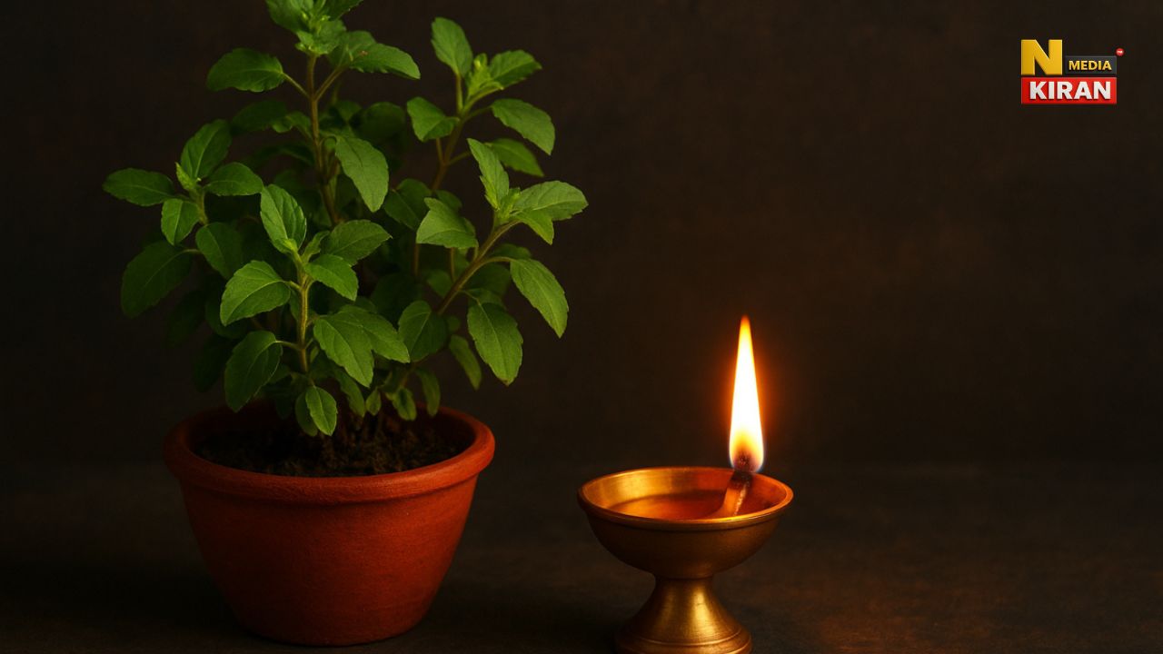Vastu Tips: शाम को तुलसी के पास क्यों जलाते हैं दीपक? जानें 5 बड़े कारण और 1 चमत्कारी मंत्र Vastu Tips