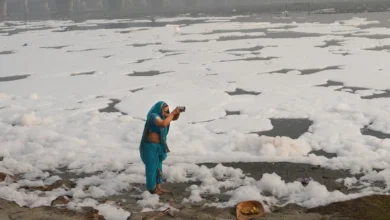 छठ पूजा से पहले यमुना में केमिकल डालने पर बवाल: अखिलेश यादव ने जताई चिंता, कहा “गंगा तक फैलेगा असर”