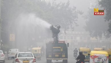 Weather Forecast 12 November