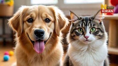 Jharkhand Pet Registration