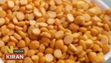 “रोजाना खाएं चना दाल, मिलेगा विटामिन और एनर्जी का डबल डोज़ — शरीर बनेगा फौलादी और एक्टिव”