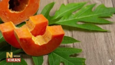 “डेंगू से लिवर तक हर रोग में असरदार! पपीते की पत्तियां बनेंगी आपकी सेहत की नैचुरल दवा”